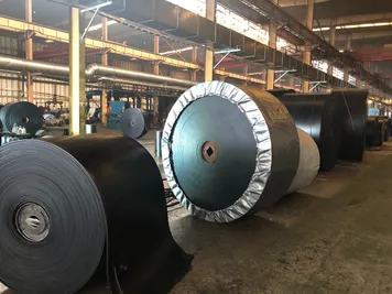 Conveyor Roller Operation Hdpe