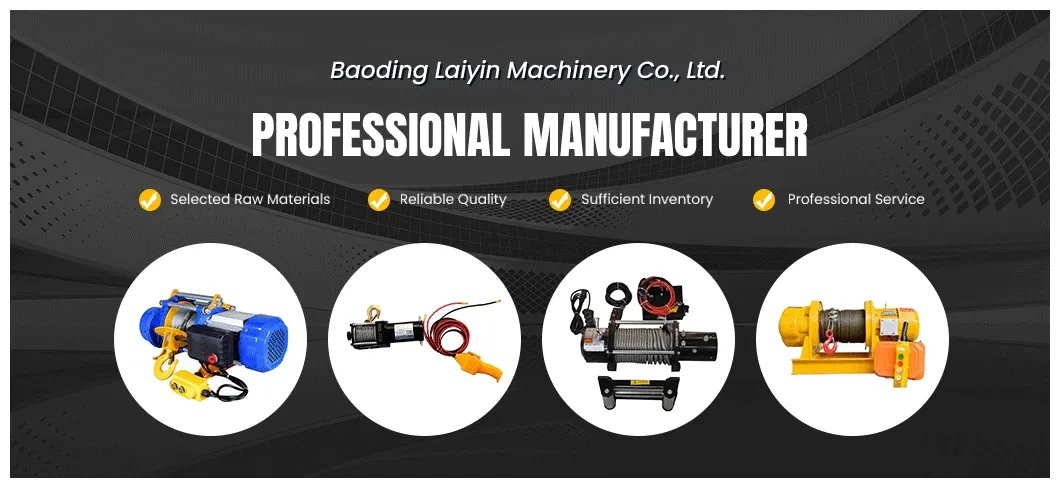 Winch and Hoist Electric Capacity Customizable