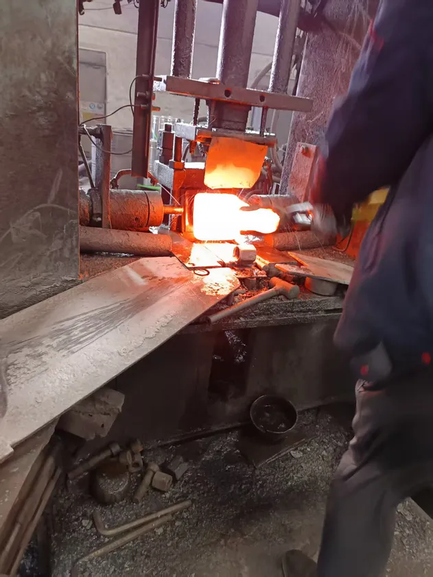 Bucket Tooth Forged Excavator Teeth