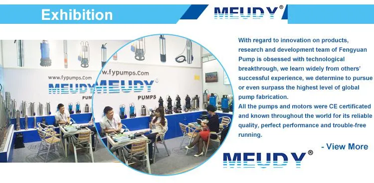 Dewatering Pump Meudy Kbd Slurry Submersible