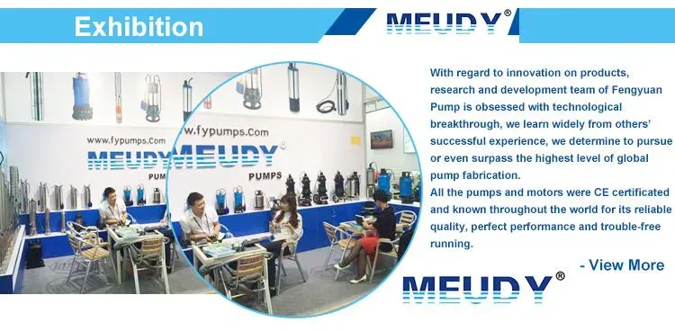 Meudy Kbd Contractor Dewatering Slurry Submersible Sludg - product detail 5
