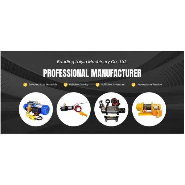 Winch and Hoist Electric Capacity Customizable